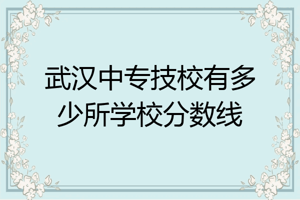武汉中专技校有多少所学校分数线