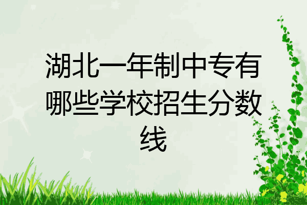 湖北一年制中专有哪些学校招生分数线