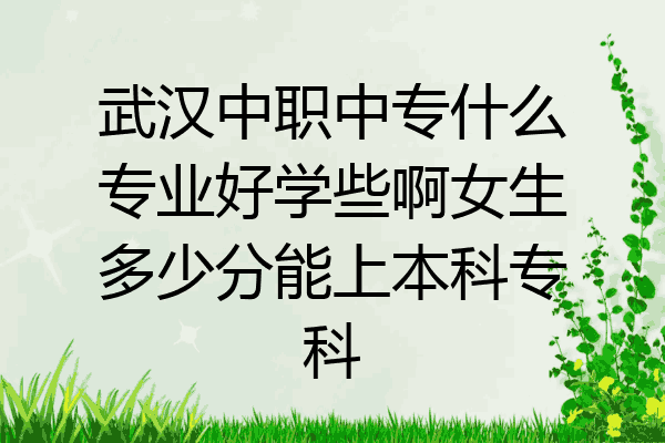 武汉中职中专什么专业好学些啊女生多少分能上本科专科