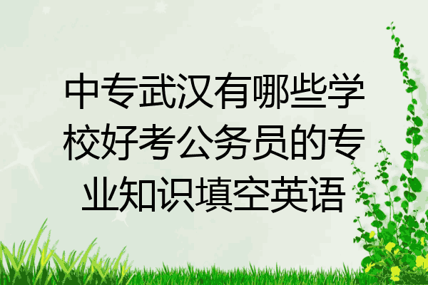 中专武汉有哪些学校好考公务员的专业知识填空英语