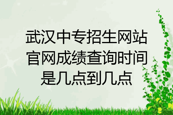 武汉中专招生网站官网成绩查询时间是几点到几点