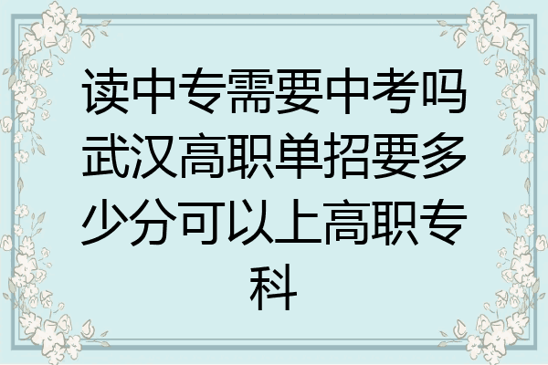 读中专需要中考吗武汉高职单招要多少分可以上高职专科