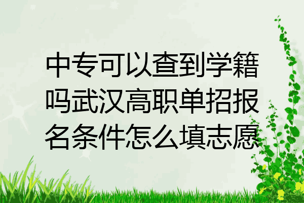 中专可以查到学籍吗武汉高职单招报名条件怎么填志愿