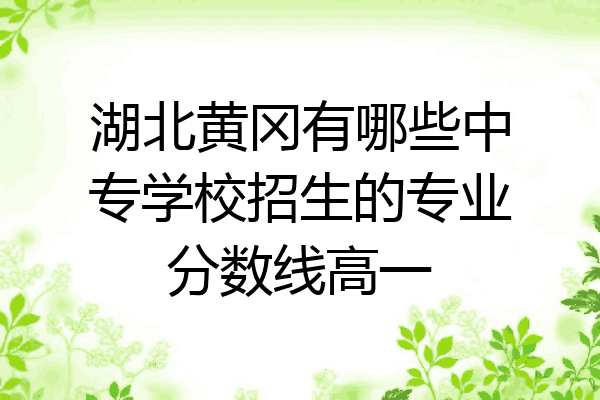 湖北黄冈有哪些中专学校招生的专业分数线高一