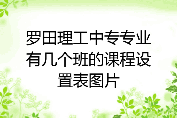 罗田理工中专专业有几个班的课程设置表图片