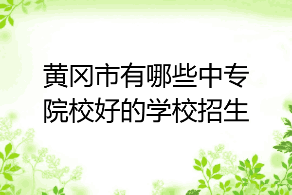 黄冈市有哪些中专院校好的学校招生