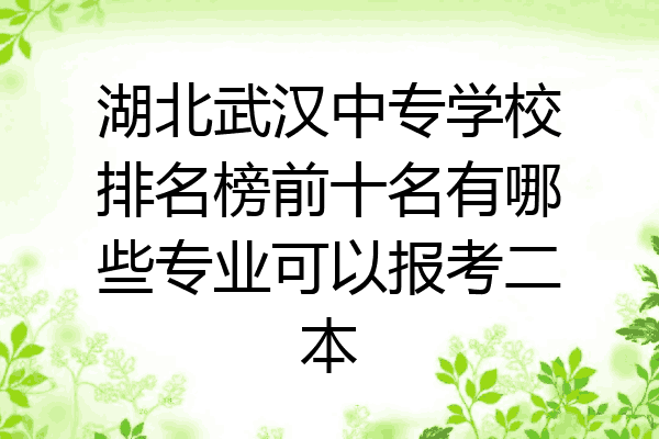 湖北武汉中专学校排名榜前十名有哪些专业可以报考二本