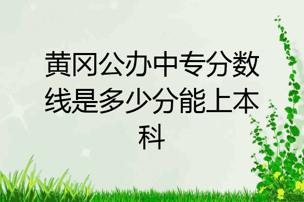 黄冈公办中专分数线是多少分能上本科