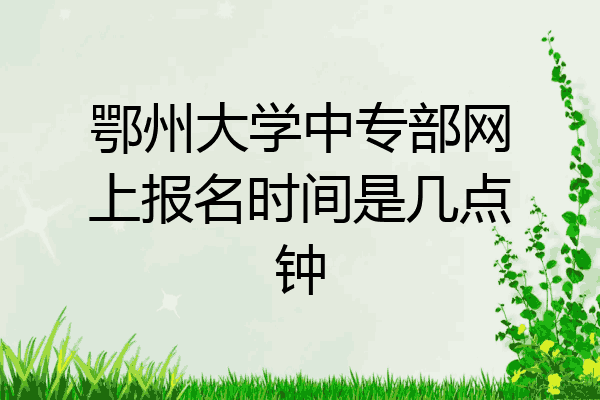 鄂州大学中专部网上报名时间是几点钟
