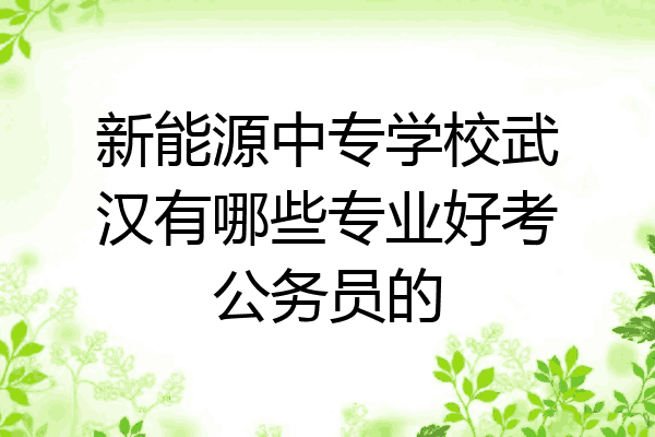 新能源中专学校武汉有哪些专业好考公务员的