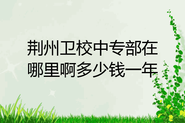 荆州卫校中专部在哪里啊多少钱一年