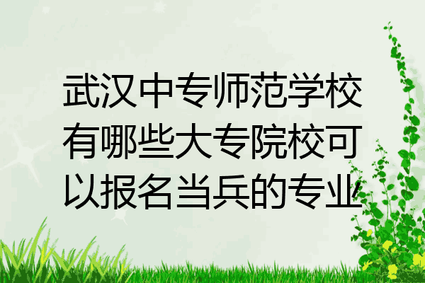 武汉中专师范学校有哪些大专院校可以报名当兵的专业