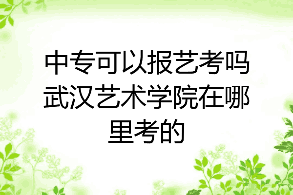 中专可以报艺考吗武汉艺术学院在哪里考的