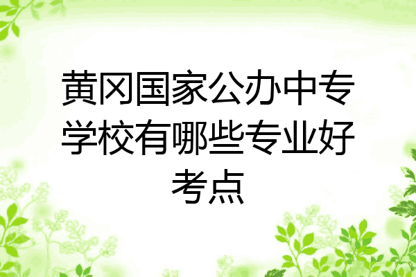 黄冈国家公办中专学校有哪些专业好考点