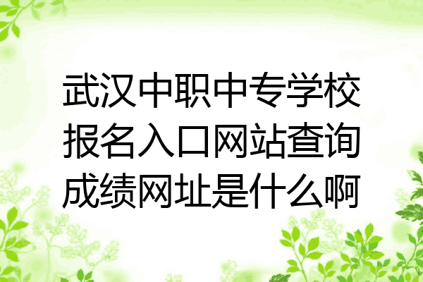 武汉中职中专学校报名入口网站查询成绩网址是什么啊
