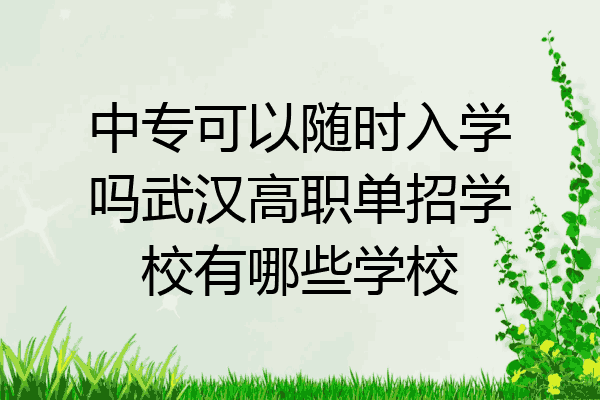 中专可以随时入学吗武汉高职单招学校有哪些学校