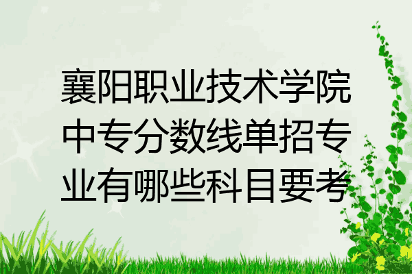 襄阳职业技术学院中专分数线单招专业有哪些科目要考
