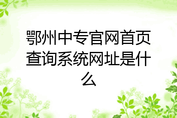 鄂州中专官网首页查询系统网址是什么