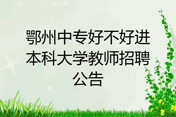 鄂州中专好不好进本科大学教师招聘公告