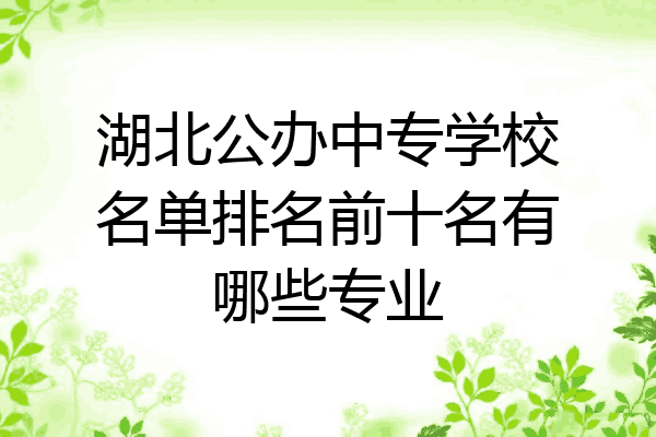 湖北公办中专学校名单排名前十名有哪些专业