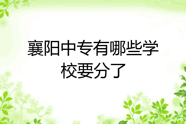 襄阳中专有哪些学校要分了