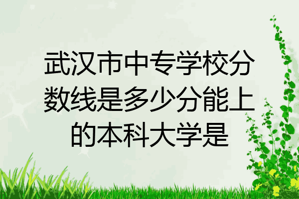 武汉市中专学校分数线是多少分能上的本科大学是