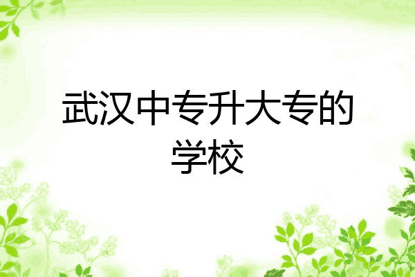 武汉中专升大专的学校