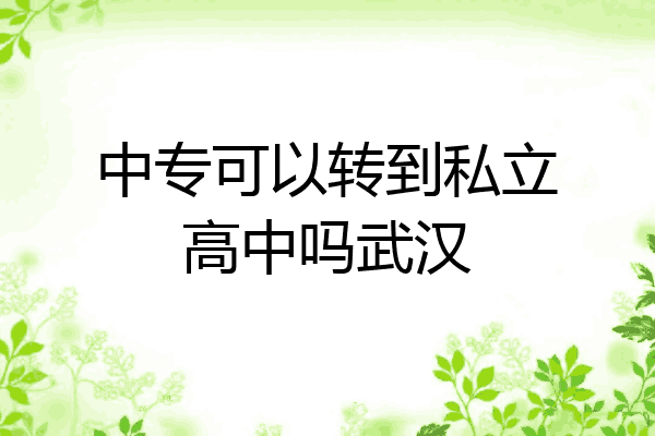 中专可以转到私立高中吗武汉