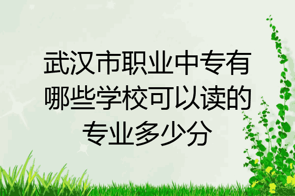 武汉市职业中专有哪些学校可以读的专业多少分