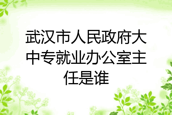 武汉市人民政府大中专就业办公室主任是谁