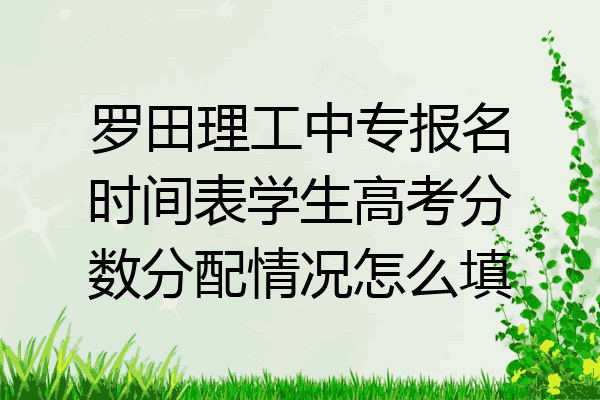 罗田理工中专报名时间表学生高考分数分配情况怎么填