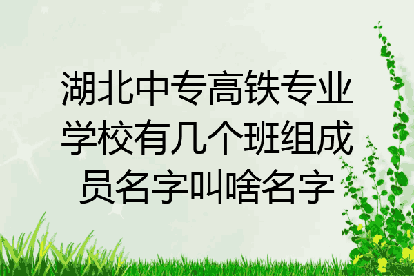 湖北中专高铁专业学校有几个班组成员名字叫啥名字