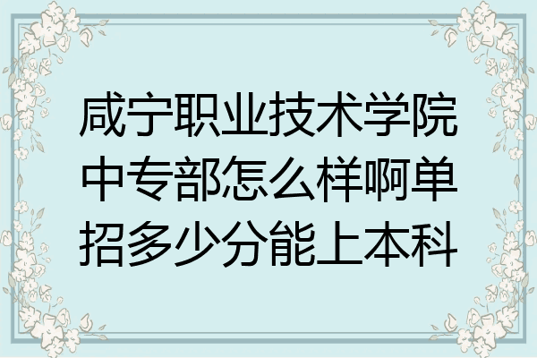 咸宁职业技术学院中专部怎么样啊单招多少分能上本科