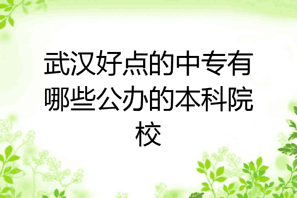 武汉好点的中专有哪些公办的本科院校