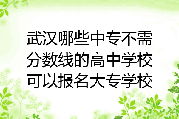 武汉哪些中专不需分数线的高中学校可以报名大专学校