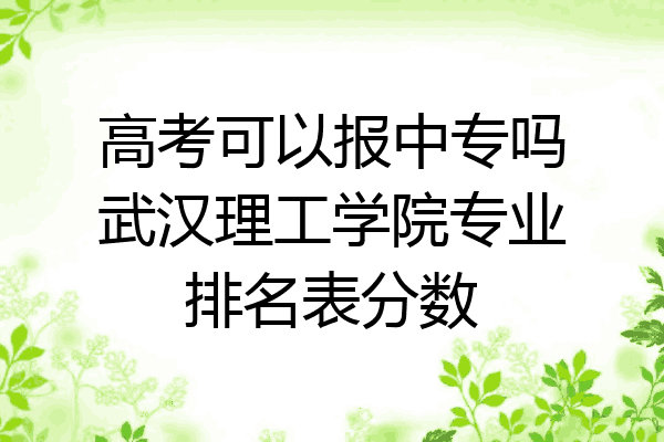 高考可以报中专吗武汉理工学院专业排名表分数