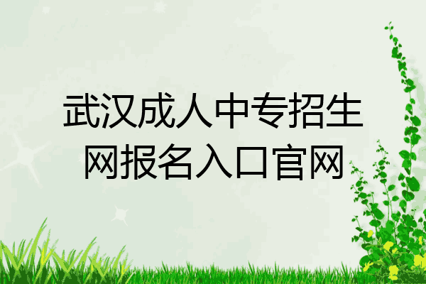 武汉成人中专招生网报名入口官网
