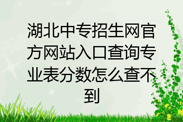 湖北中专招生网官方网站入口查询专业表分数怎么查不到