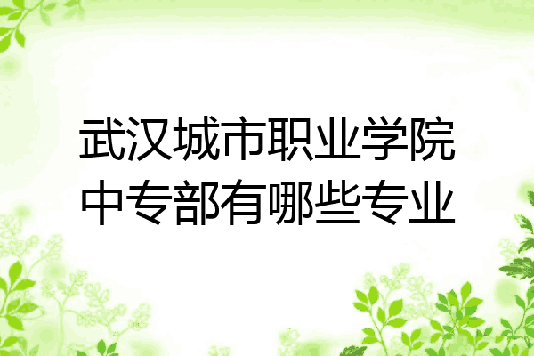 武汉城市职业学院中专部有哪些专业