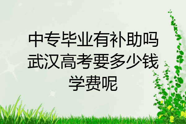 中专毕业有补助吗武汉高考要多少钱学费呢
