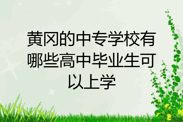 黄冈的中专学校有哪些高中毕业生可以上学