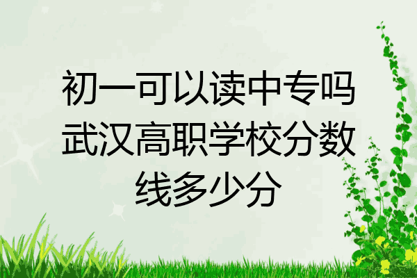 初一可以读中专吗武汉高职学校分数线多少分