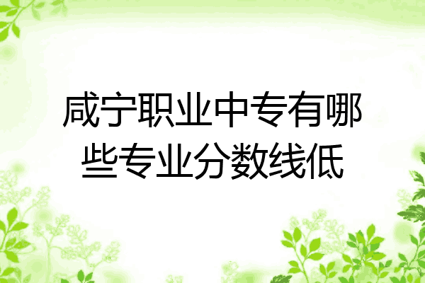 咸宁职业中专有哪些专业分数线低