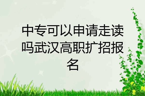 中专可以申请走读吗武汉高职扩招报名