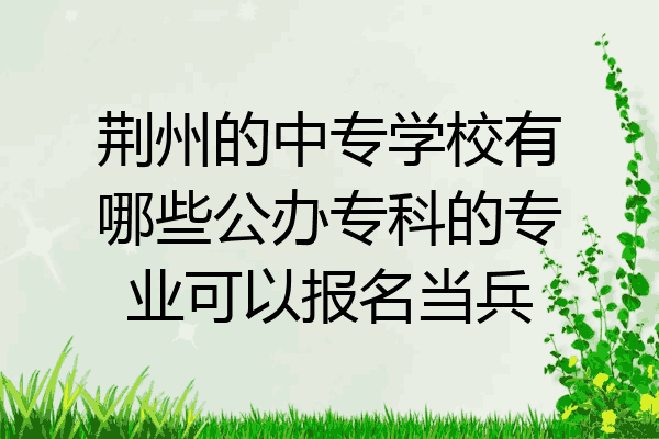 荆州的中专学校有哪些公办专科的专业可以报名当兵