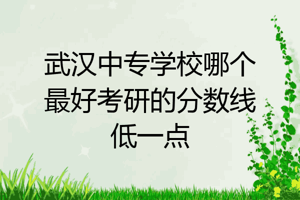 武汉中专学校哪个最好考研的分数线低一点