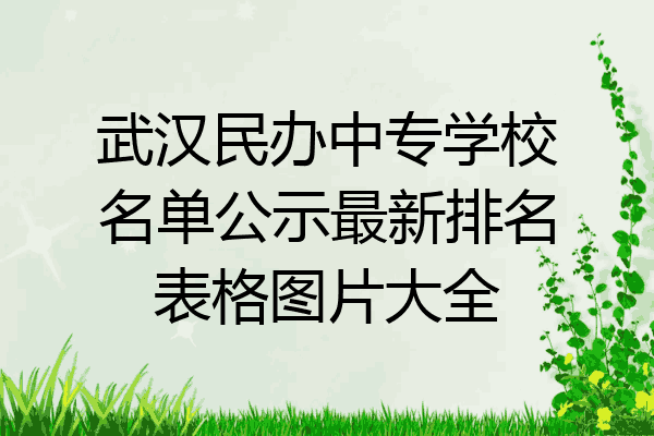 武汉民办中专学校名单公示最新排名表格图片大全