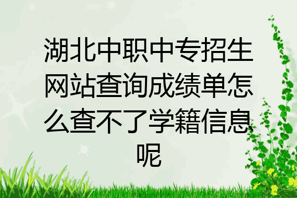 湖北中职中专招生网站查询成绩单怎么查不了学籍信息呢