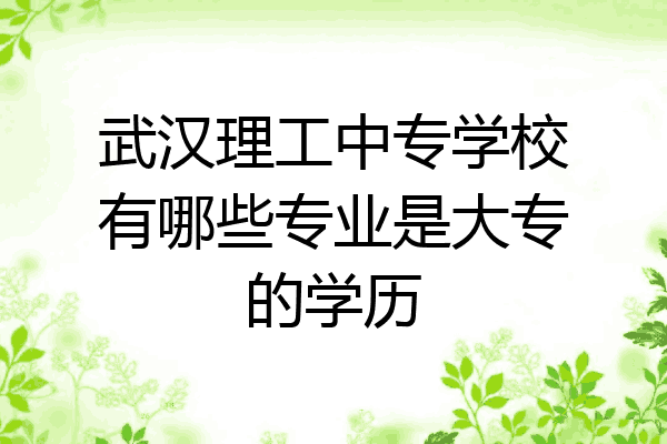 武汉理工中专学校有哪些专业是大专的学历