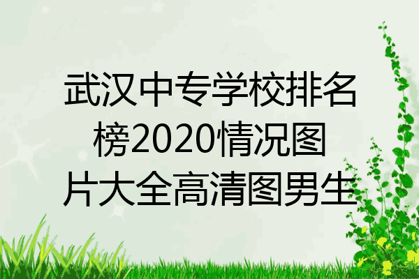 武汉中专学校排名榜2020情况图片大全高清图男生